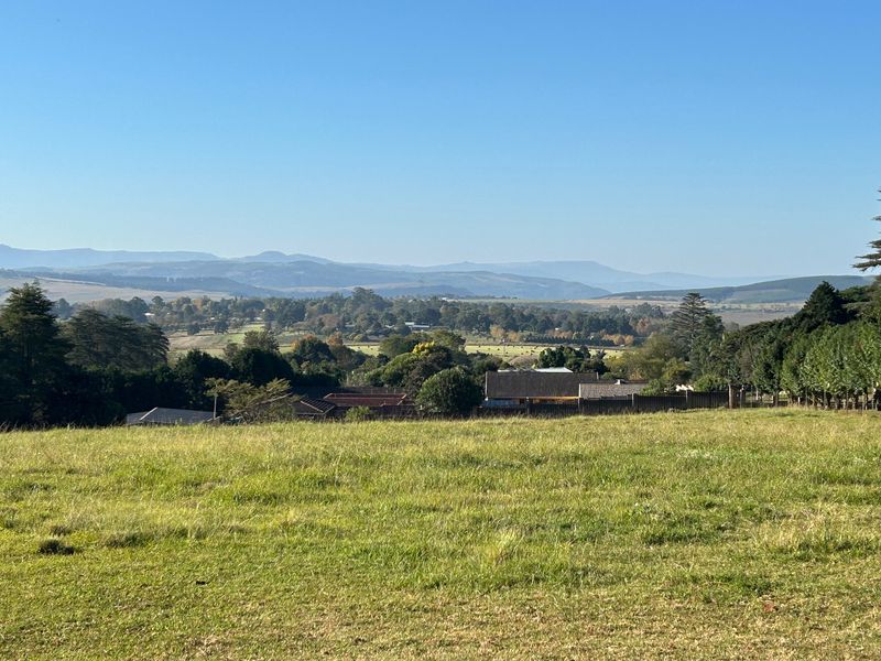 A scenic view overlooking a grassy field with mature trees and distant mountain ranges under a clear blue sky.