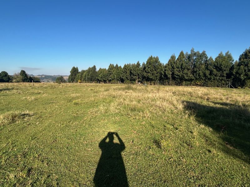 A wide-angle view of a vacant residential plot featuring open grassy terrain and a line of mature trees along the perimeter.
