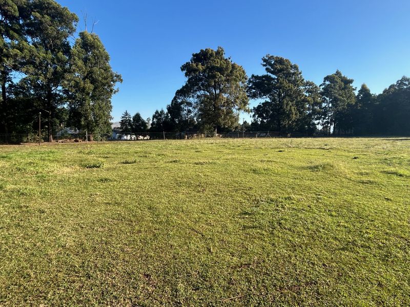 A spacious, level residential plot featuring established trees and perimeter wire fencing, offering a clear area for potential development.