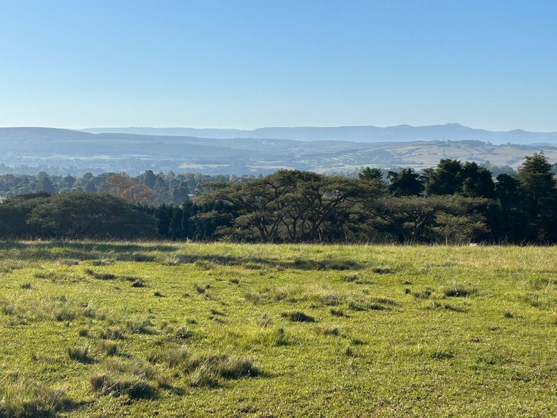 A scenic view overlooking a grassy landscape with mature trees and distant rolling hills under a clear blue sky.