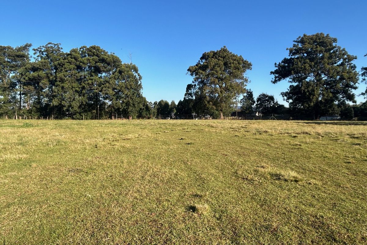 A spacious, level vacant residential plot featuring established mature trees and open grassy terrain, ideal for future development.