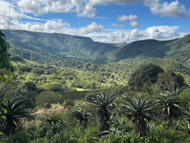 Farm with Multiple Income Streams - Photo 2