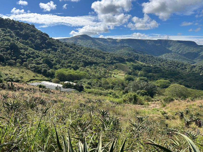 Farm with Multiple Income Streams - Photo 3