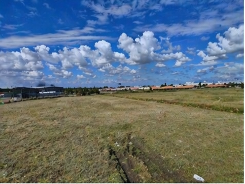 Prime Commercial Stand with Excellent Development Potential - Photo 3
