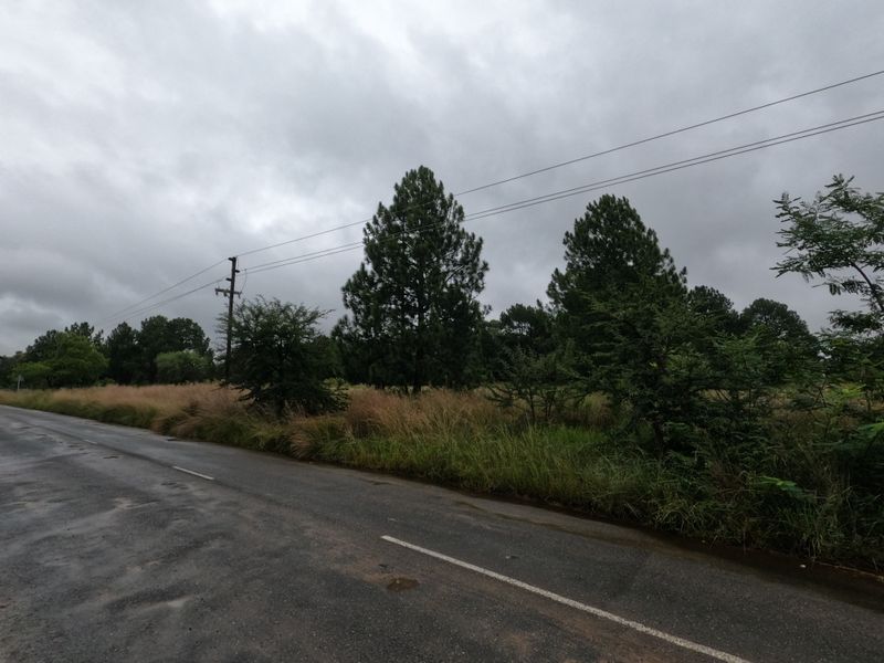 A street-level view of a vacant residential plot featuring natural vegetation, mature trees, and accessible utility infrastructure along the roadside.