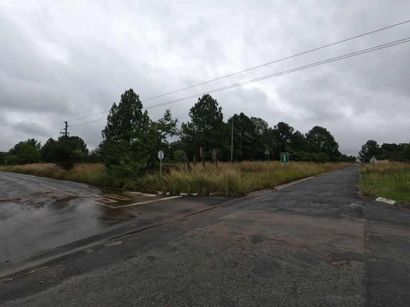 A street-level view of a vacant residential plot corner featuring asphalt road access, overhead power lines, and natural vegetation.