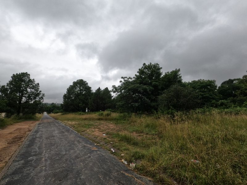 A view of a paved street bordering a vacant residential plot with mature trees and natural vegetation under an overcast sky.