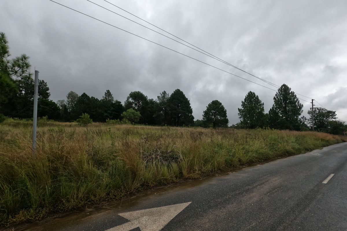 A view of the vacant residential land from the adjacent asphalt road, featuring natural vegetation and overhead utility lines.