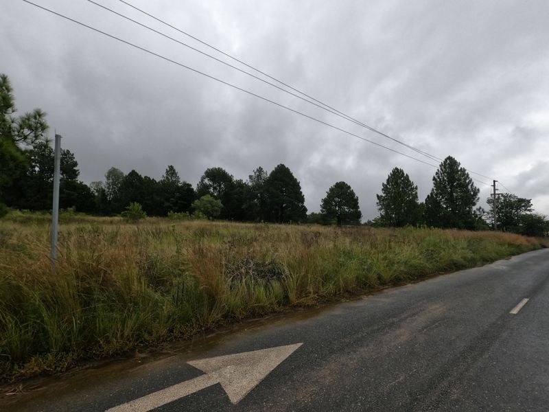 A view of the vacant residential land from the adjacent asphalt road, featuring natural vegetation and overhead utility lines.