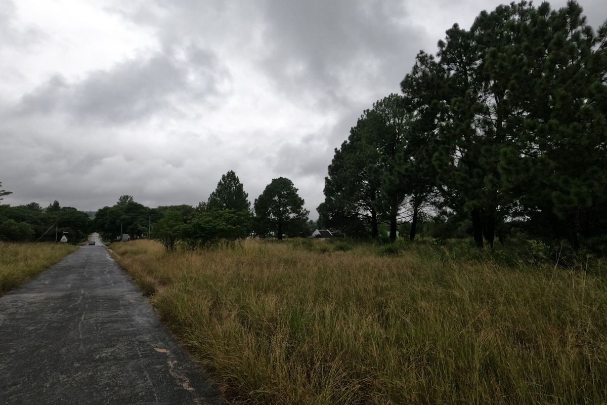 A view of a paved road bordering a vacant residential plot featuring mature trees and natural grassland under an overcast sky.