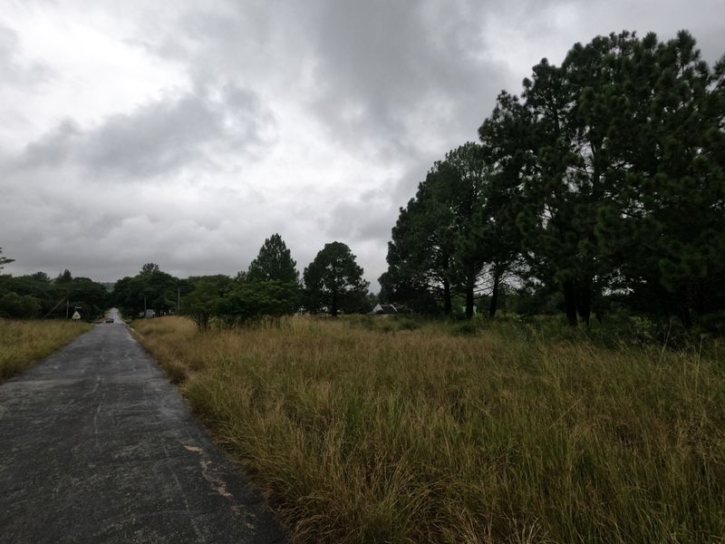 A view of a paved road bordering a vacant residential plot featuring mature trees and natural grassland under an overcast sky.