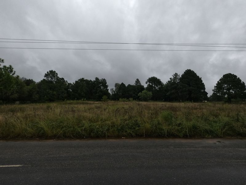 A view of a vacant residential plot of land from the adjacent asphalt road, featuring natural vegetation and overhead power lines.