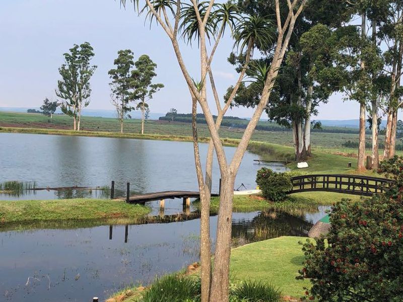 Living in the Peace of the Country - Photo 6