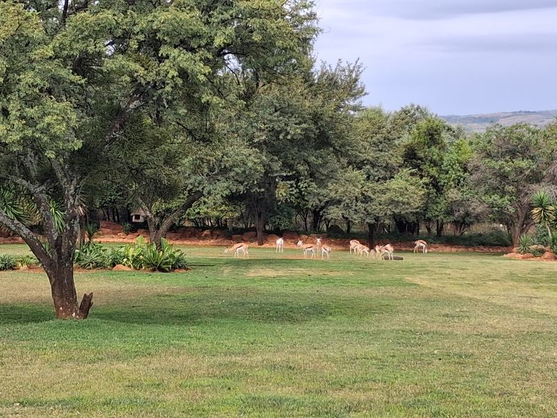 Buffelspoort Eco Estate Rustenburg  - Complete your dream house! - Photo 7