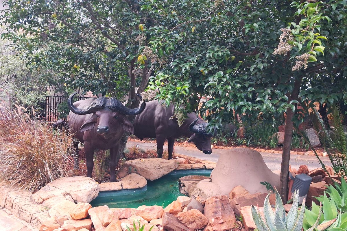 Buffelspoort Eco Estate Rustenburg  - Complete your dream house! - Photo 3