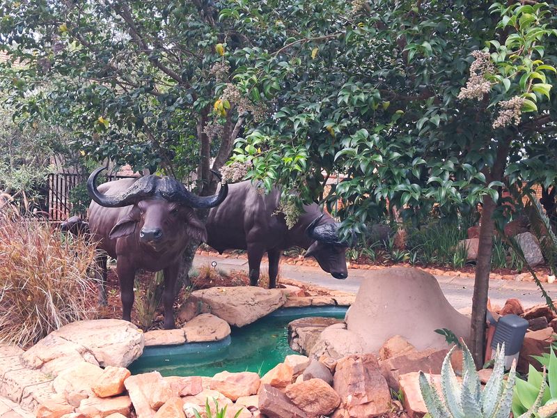 Buffelspoort Eco Estate Rustenburg  - Complete your dream house! - Photo 3