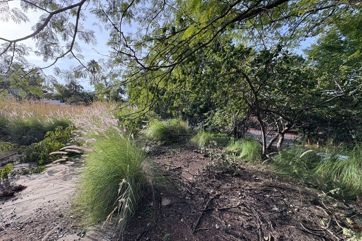 Vacant Land in Proteapark – Endless Potential! - Photo 5