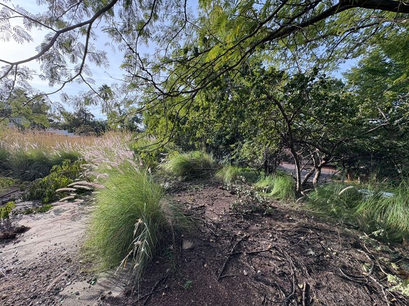 Vacant Land in Proteapark – Endless Potential! - Photo 5