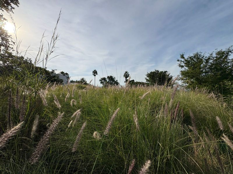 Vacant Land in Proteapark – Endless Potential! - Photo 9