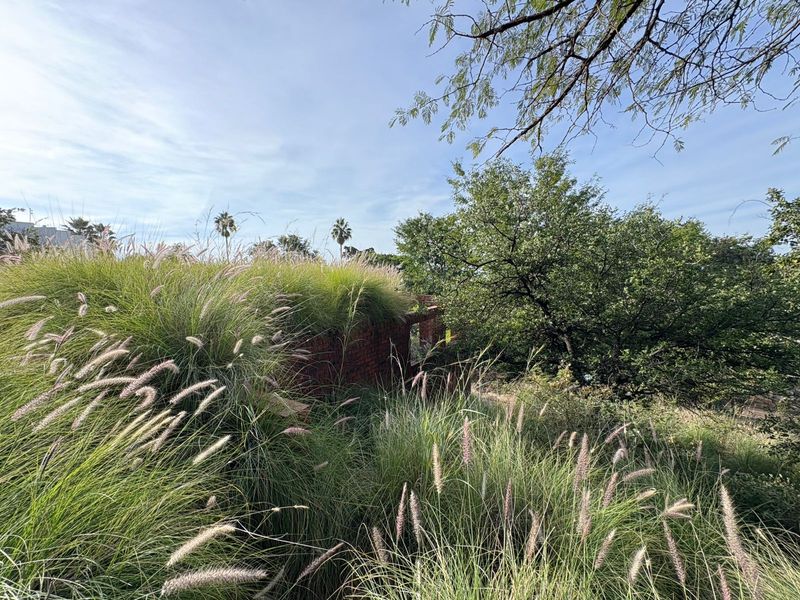 Vacant Land in Proteapark – Endless Potential! - Photo 8