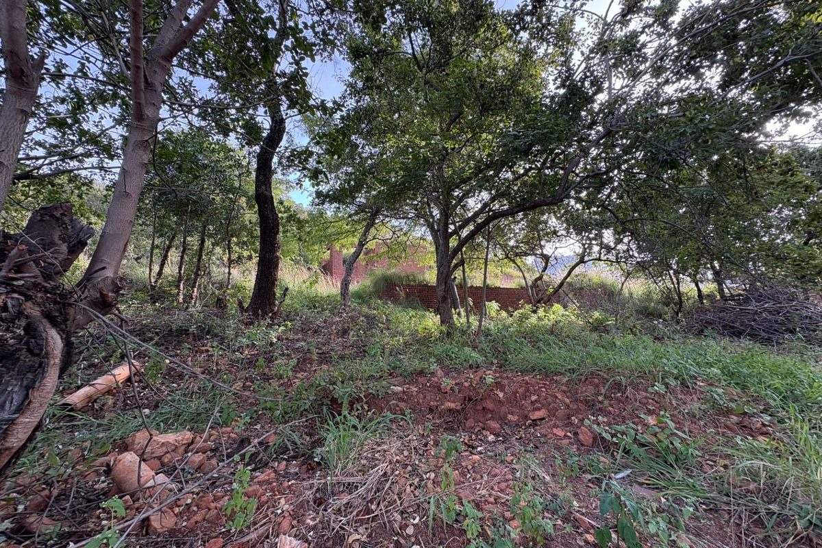 Vacant Land in Proteapark – Endless Potential! - Photo 3