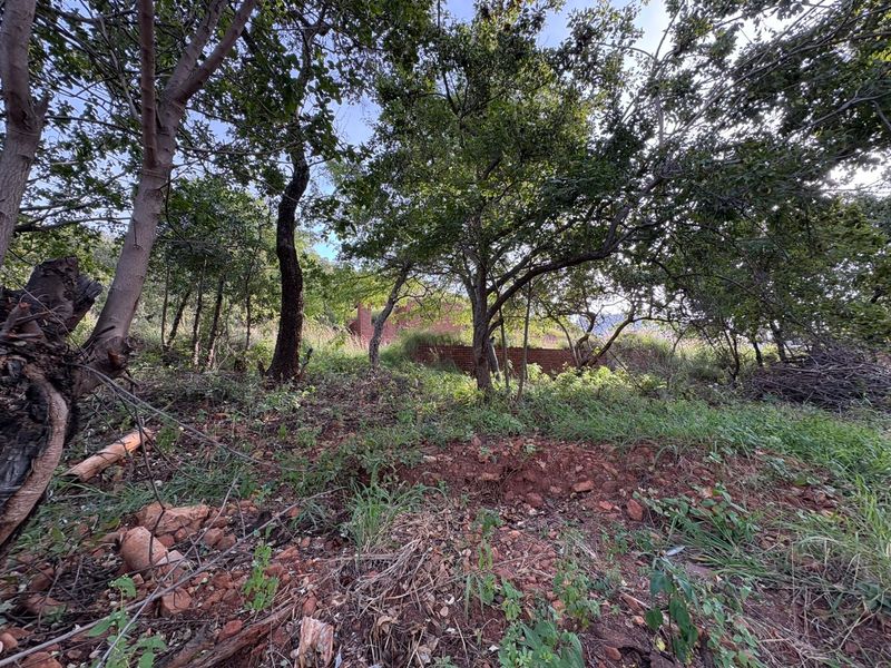 Vacant Land in Proteapark – Endless Potential! - Photo 3