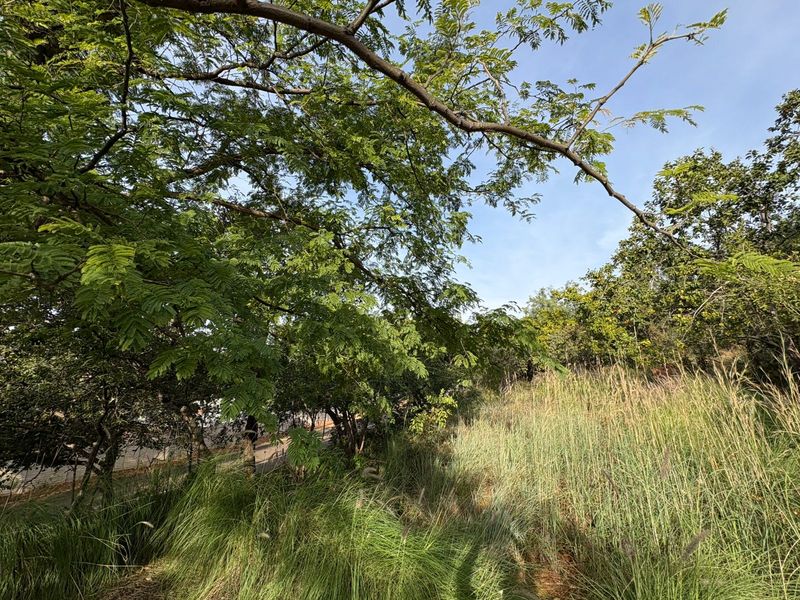 Vacant Land in Proteapark – Endless Potential! - Photo 6