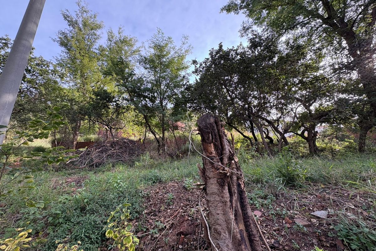 Vacant Land in Proteapark – Endless Potential! - Photo 2