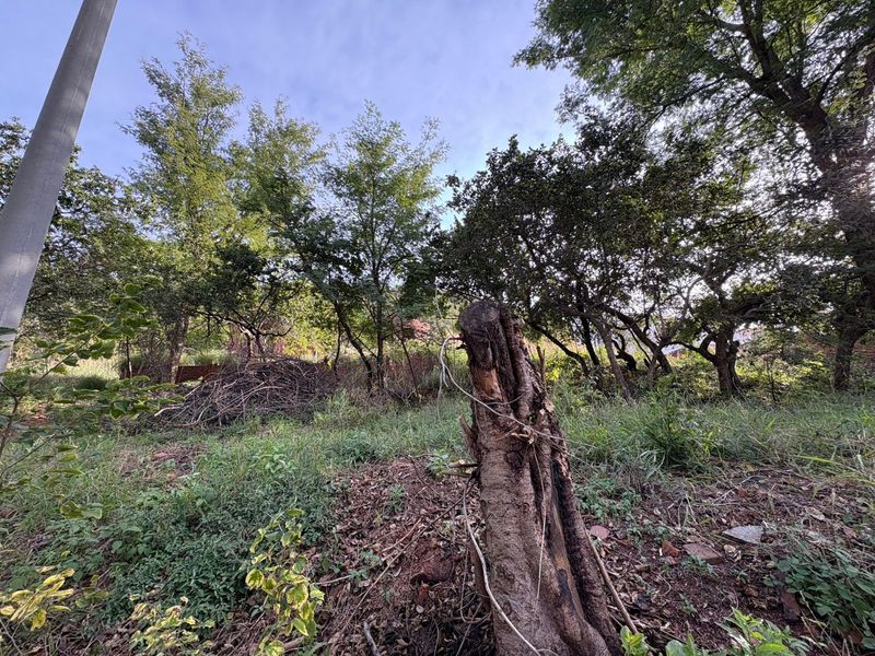 Vacant Land in Proteapark – Endless Potential! - Photo 2