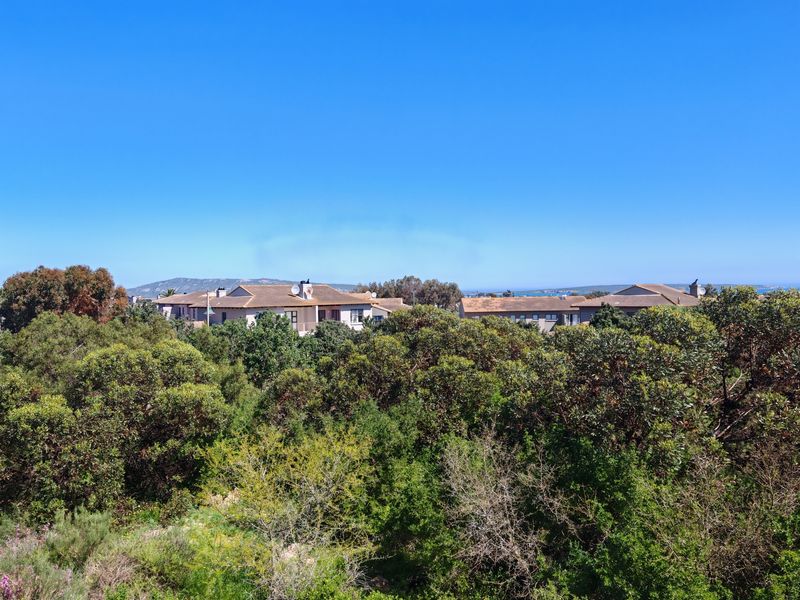 A scenic elevated view overlooking lush green vegetation with residential apartment buildings in the distance under a clear blue sky.