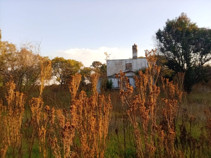 A view of a dilapidated residential structure situated on a large, overgrown plot of land, showing significant signs of neglect and structural deterioration.