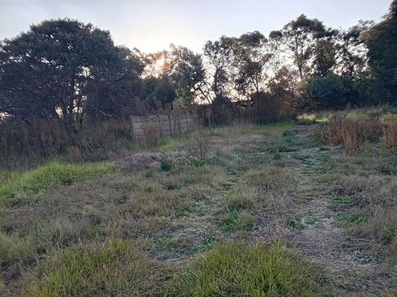 A view of a vacant residential plot featuring overgrown grass, mature trees, and a section of existing boundary walling.
