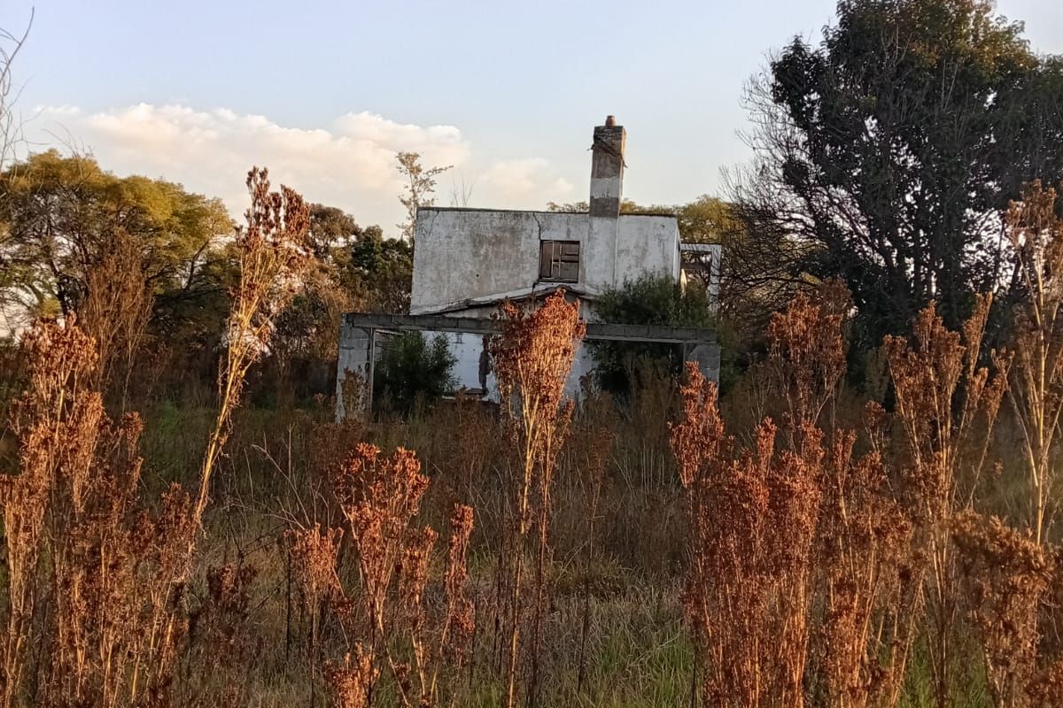 Residential and agricultural Vacant land for Sale. - Photo 4