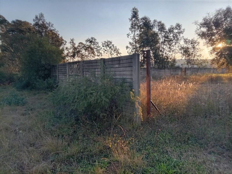 A view of a vacant residential plot featuring an existing concrete boundary wall and overgrown natural vegetation.