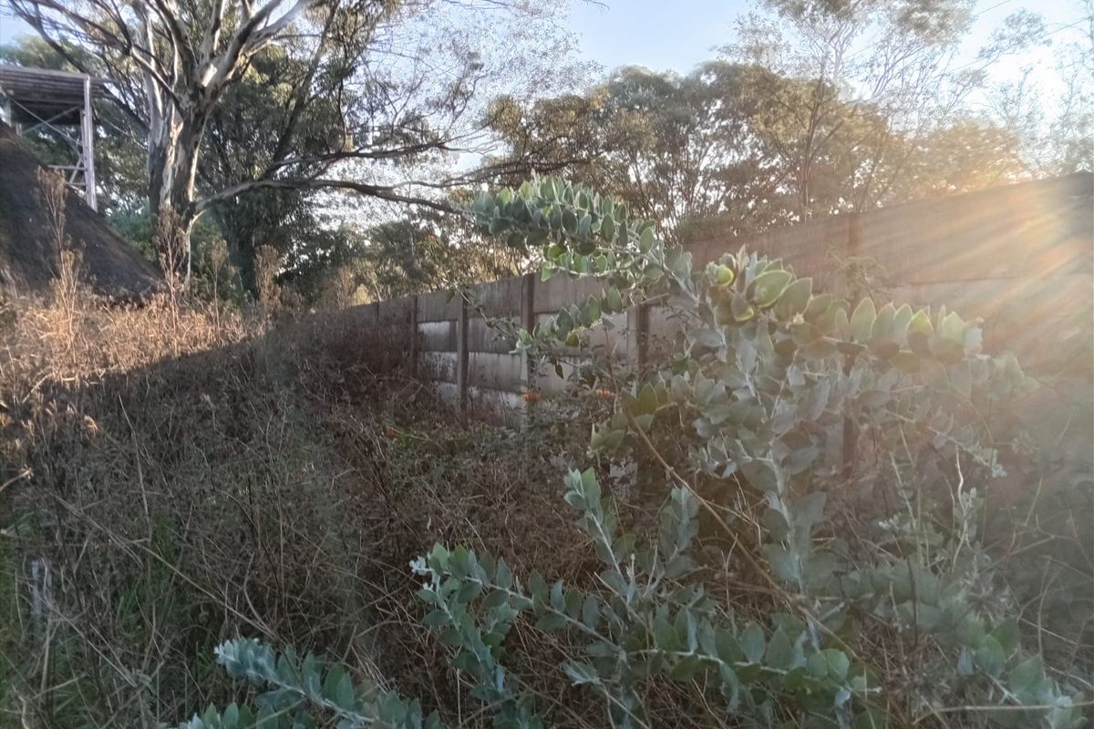 Residential and agricultural Vacant land for Sale. - Photo 5