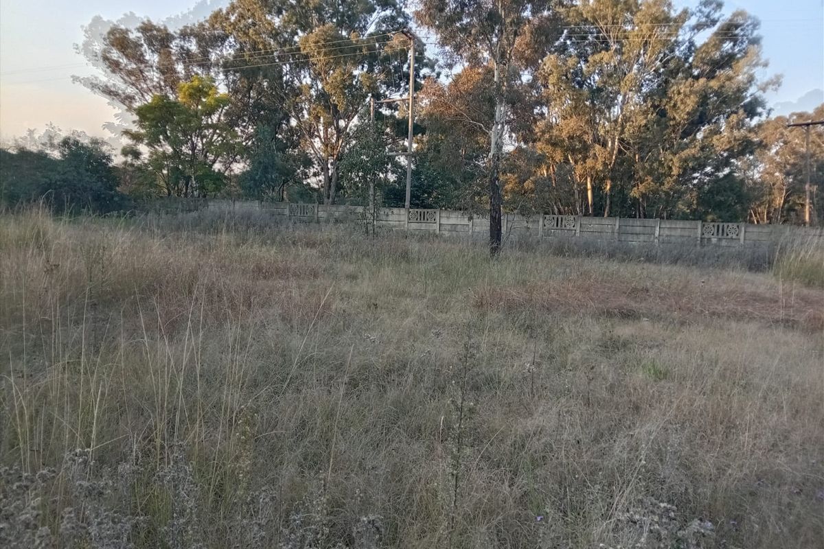 A view of a vacant residential plot featuring established trees and a precast concrete boundary wall.