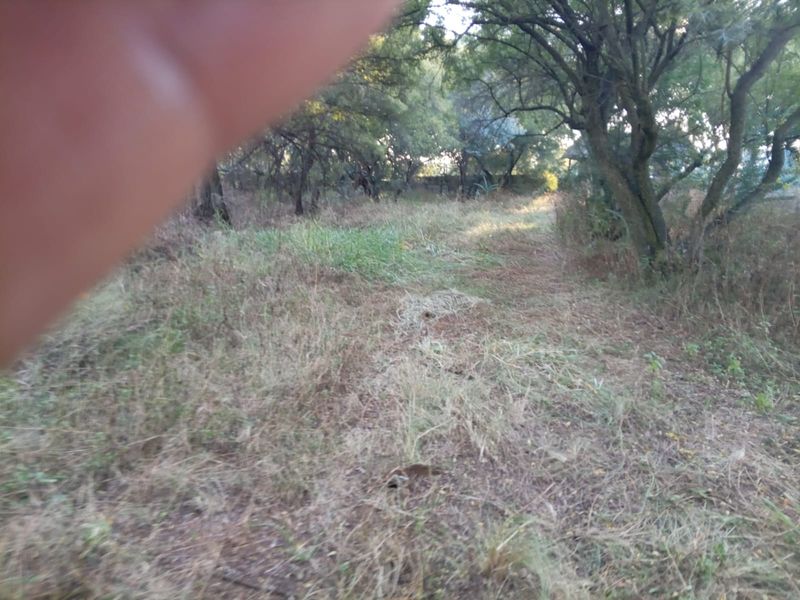Residential and agricultural Vacant land for Sale. - Photo 7
