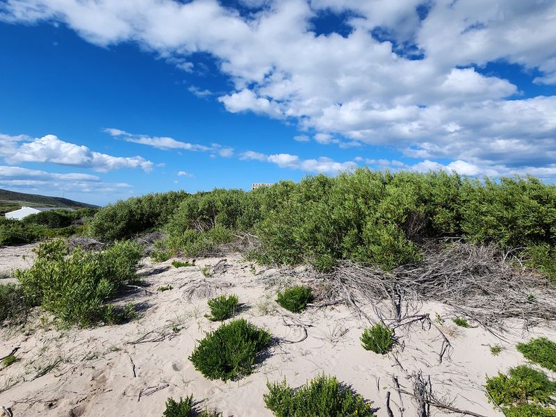 Secure Your Coastal Property in Agulhas - Photo 7