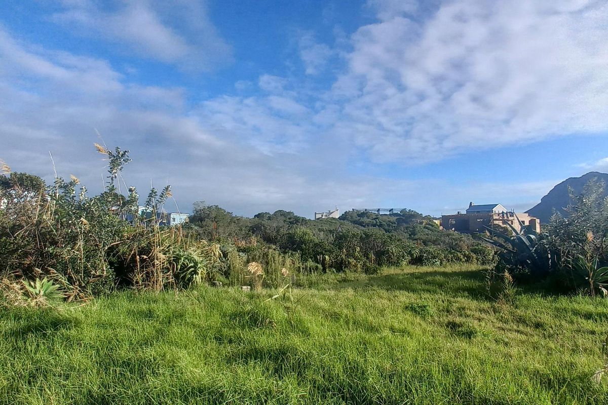 Elevated Views, Elevated Living: A Pringle Bay Property Like No Other - Photo 2