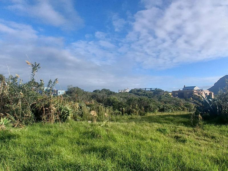 Elevated Views, Elevated Living: A Pringle Bay Property Like No Other - Photo 2