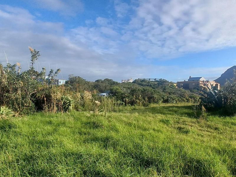 Elevated Views, Elevated Living: A Pringle Bay Property Like No Other - Photo 9