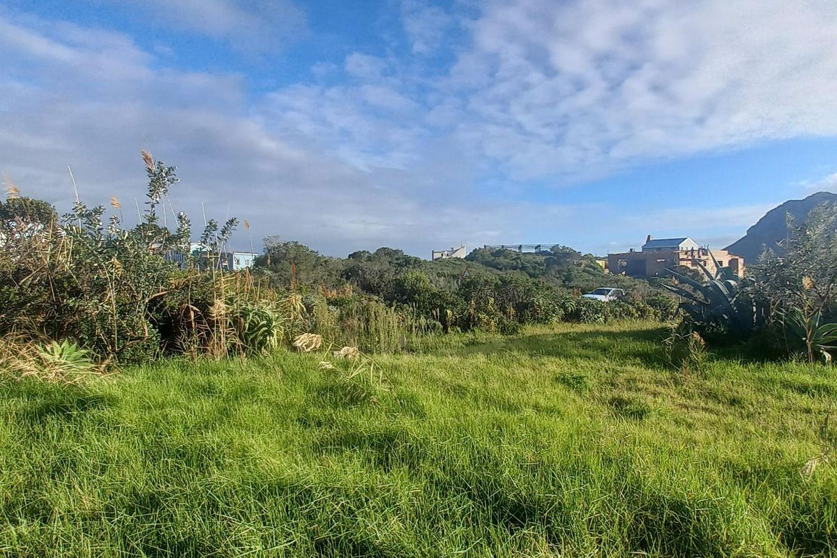 A view of a vacant residential plot featuring natural grass cover and surrounding coastal vegetation with distant mountain views.