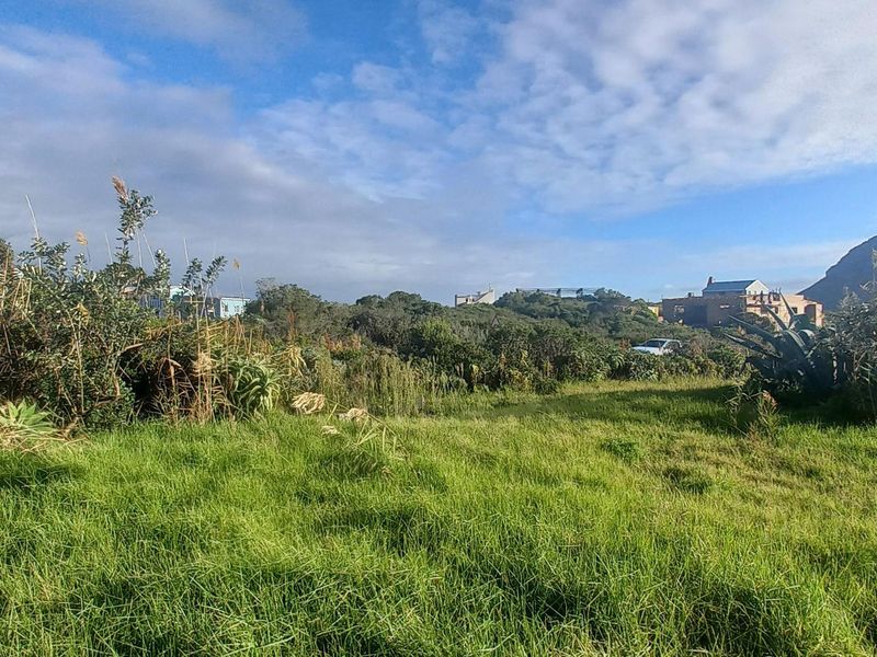 Elevated Views, Elevated Living: A Pringle Bay Property Like No Other - Photo 8