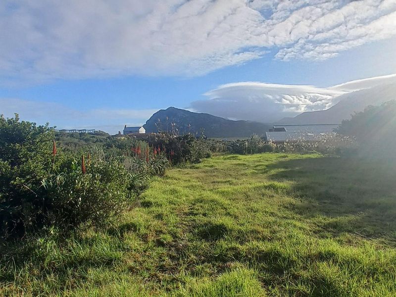 Elevated Views, Elevated Living: A Pringle Bay Property Like No Other - Photo 7