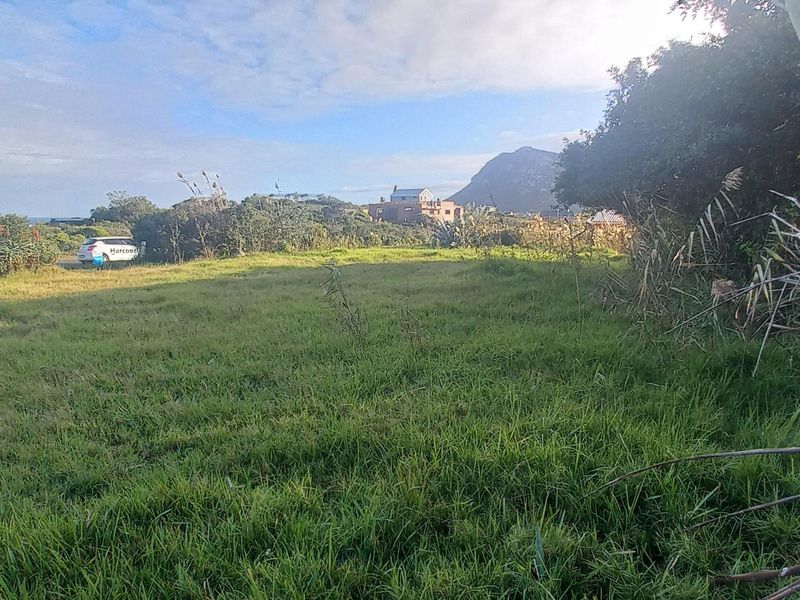 Elevated Views, Elevated Living: A Pringle Bay Property Like No Other - Photo 6