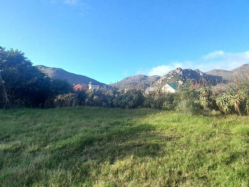 Elevated Views, Elevated Living: A Pringle Bay Property Like No Other - Photo 4