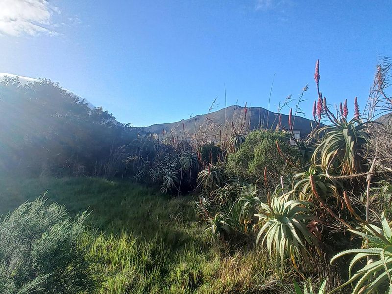 Elevated Views, Elevated Living: A Pringle Bay Property Like No Other - Photo 5