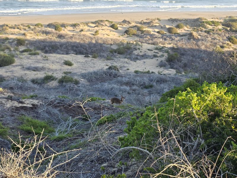 Coastal living at Its best – Stand with unspoiled ocean views - Photo 6