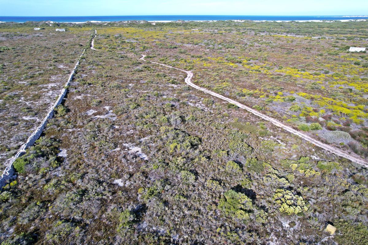 Nature’s Masterpiece in the Making – Prime Stand in Tsaba Tsaba Private Nature Reserve - Photo 4