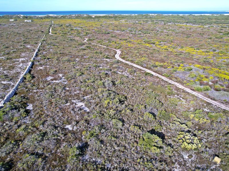 An aerial view of a large, undeveloped residential plot featuring native coastal vegetation, a stone boundary wall, and an unpaved access track.